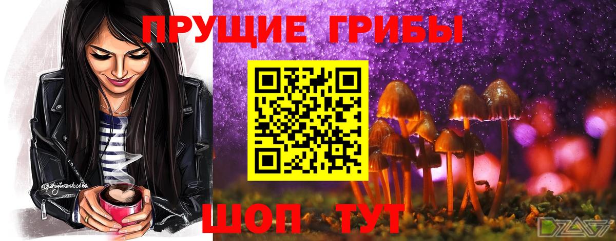 Шарыпово  хочу наркоту  Вход с VPN  Псилоцибиновые грибы Magic Shrooms  Галлюциногенные грибы GOLDEN TEACHER 
