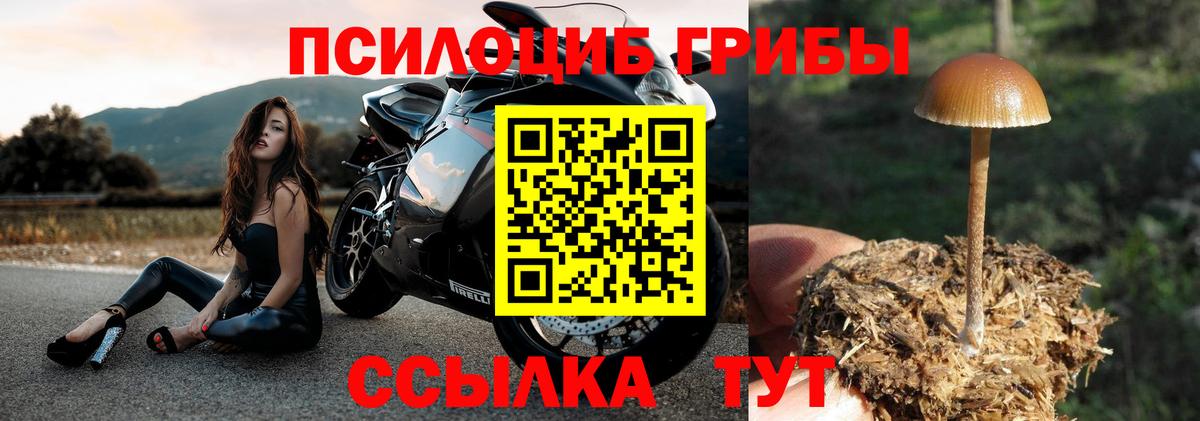 Галлюциногенные грибы GOLDEN TEACHER Шарыпово
